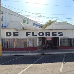 Mercado De Flores