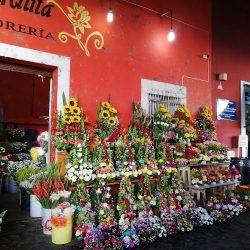 Mercado De Flores
