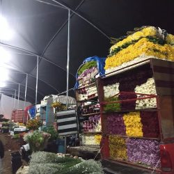 Mercado De Flores