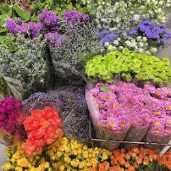 Mercado De Flores