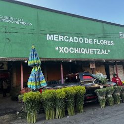 Mercado De Flores De Tenancingo