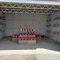 Mercado De La Flor Santa Ana