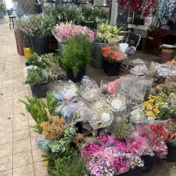 Mercado De Las Flores