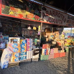 Mercado De Productores De Flor Y Plantas