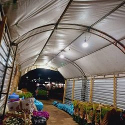 Mercado PÚblico De Flores