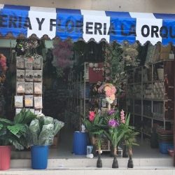 Mercería La Orquídea Huejutla