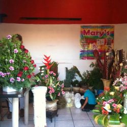 Merry Queen Floreria