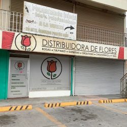 Mexicana De Flores