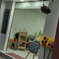 Mi Amada Florería