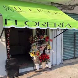Mi Linda Margarita Florería