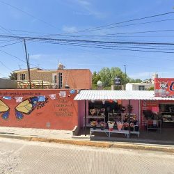 Mi Tienda Floral