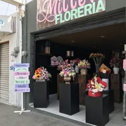 Miller Florería