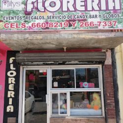 Milys Floreria