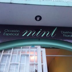 Mint Florería Celaya