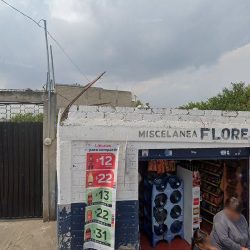 Miscelanea Flores