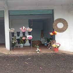 Miscelanea Flores