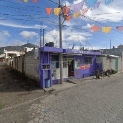Miscelanea Flores