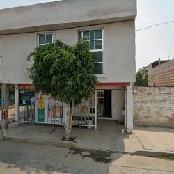 Miscelánea Flores"