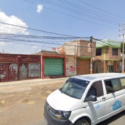 Miscelanea Las Flores De Zula