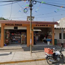 Miscelaner Flores