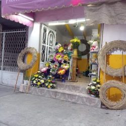 Moany Flowers Shop