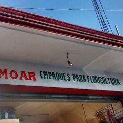 Moar Empaque Floral