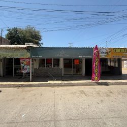 Molino Rosa Florería