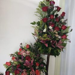 Mony Floreria Y Decoraciones