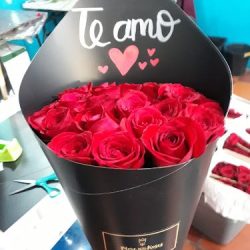 More Than Roses Frontera