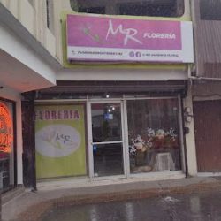 Mr Asesoría Floral