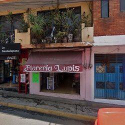 Mundi Flor