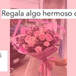 Mundo De Flores Y Globos