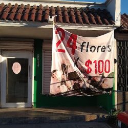 Mundo De Las Flores