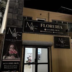 Mundo De Las Flores