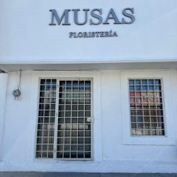 Musas Floristería