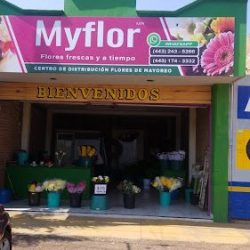 Myflor