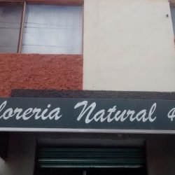 Natural Florería