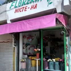 Nicte-ha