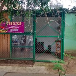 Nissi Florerías
