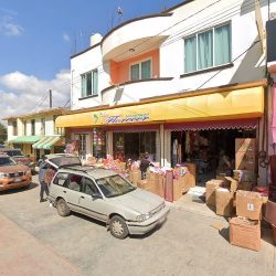 Novedades Florecer