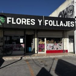 Novedades Flores Y Follajes Florería