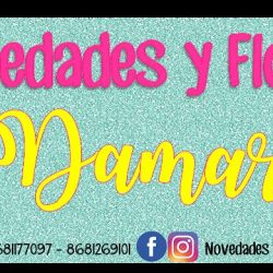 Novedades Y Flores Damarys