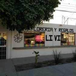 Novedades Y Regalos Livi Trc