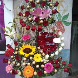 Oasis Floreria