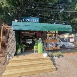 Ophelia Arquitectura Floral
