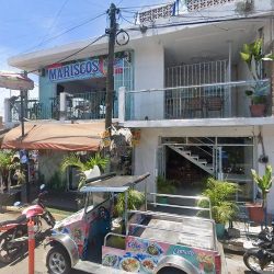 Orquídea Florería Y Regalos