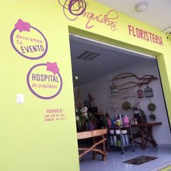 Orquídeas Floristería
