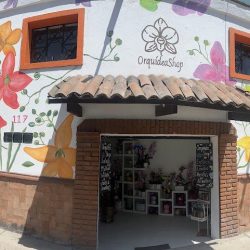 Orquideashop