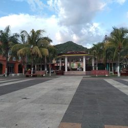 Palmar Chico