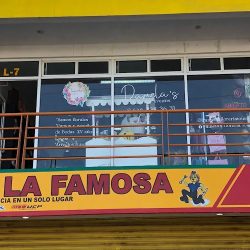 Pamela's Florería